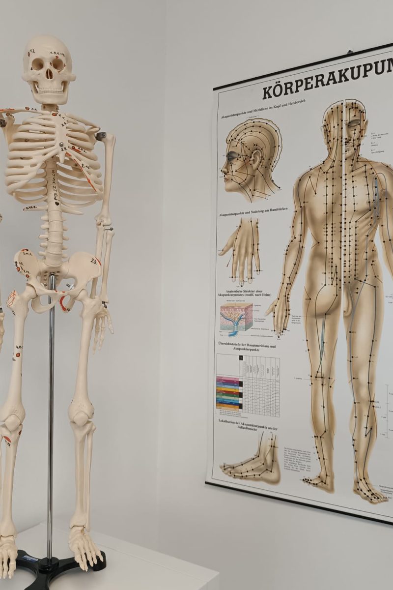 WhatsApp Image 2026-02-09 at 15.23.06 (10)